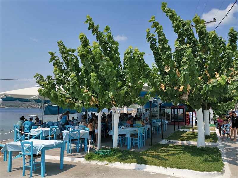 IMG_20210819_134101 (Kopiowanie).jpg