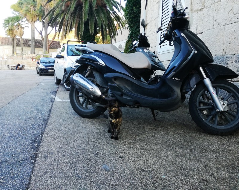 IMG_20200924_175542 (2).jpg