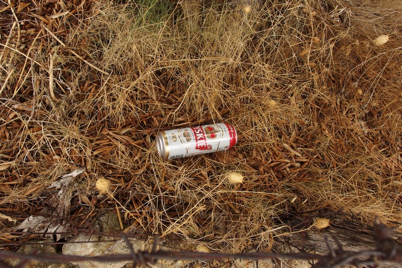 P9200761 (Kopiowanie).JPG