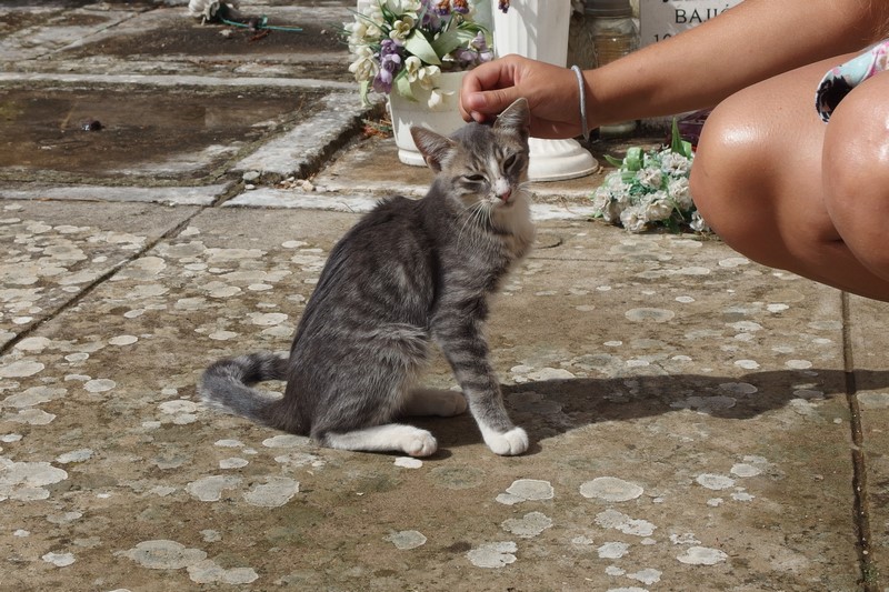 P9200799 (Kopiowanie).JPG