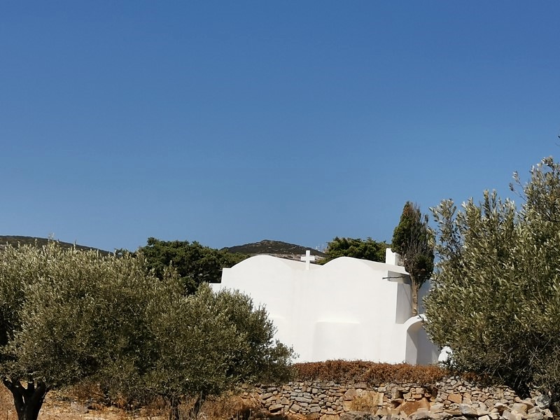 IMG_20210826_105555 (Kopiowanie).jpg