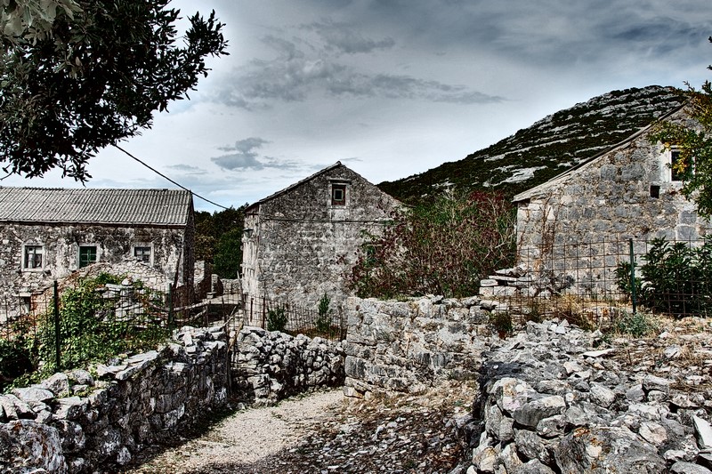 P9200835 (Kopiowanie).JPG