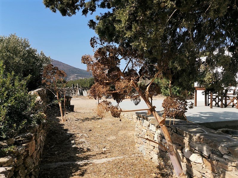 IMG_20210826_105728 (Kopiowanie).jpg