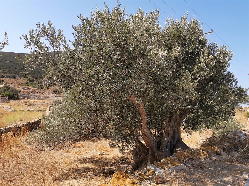 IMG_20210826_111201 (Kopiowanie).jpg