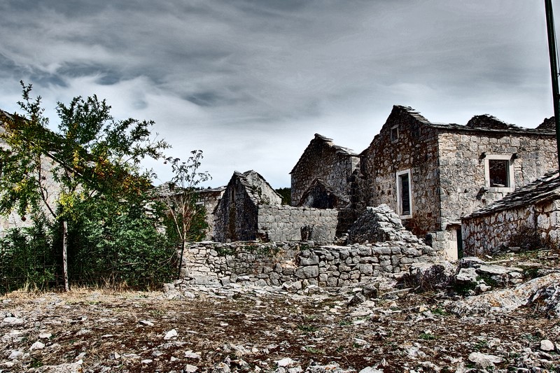 P9200836 (Kopiowanie).JPG