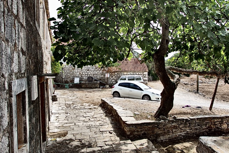 P9200838 (Kopiowanie).JPG