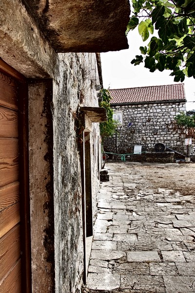 P9200839 (Kopiowanie).JPG