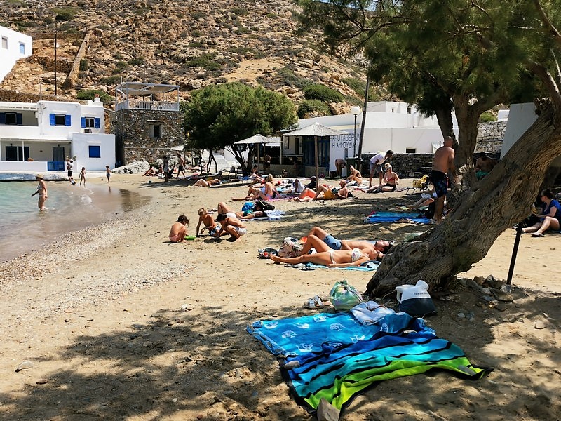 IMG_20210823_115625 (Kopiowanie).jpg