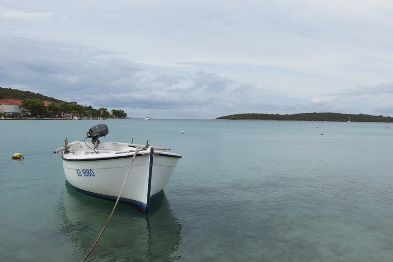 P9200858 (Kopiowanie).JPG