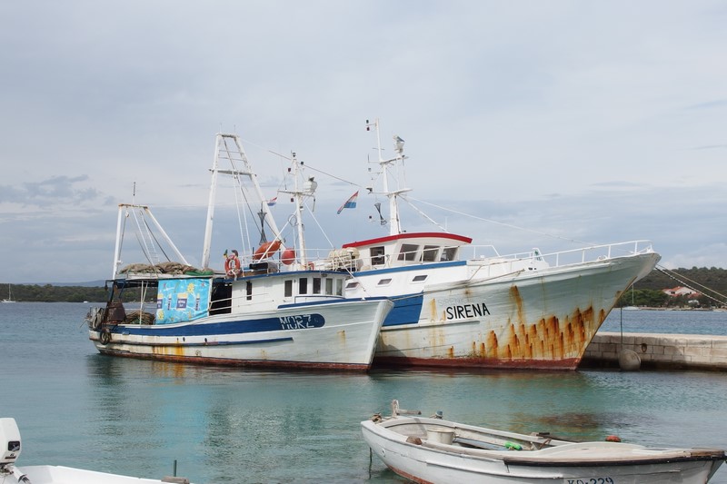 P9200869 (Kopiowanie).JPG