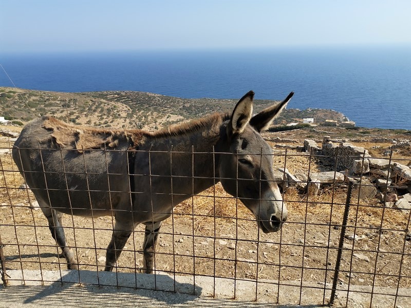 IMG_20210824_102210 (Kopiowanie).jpg