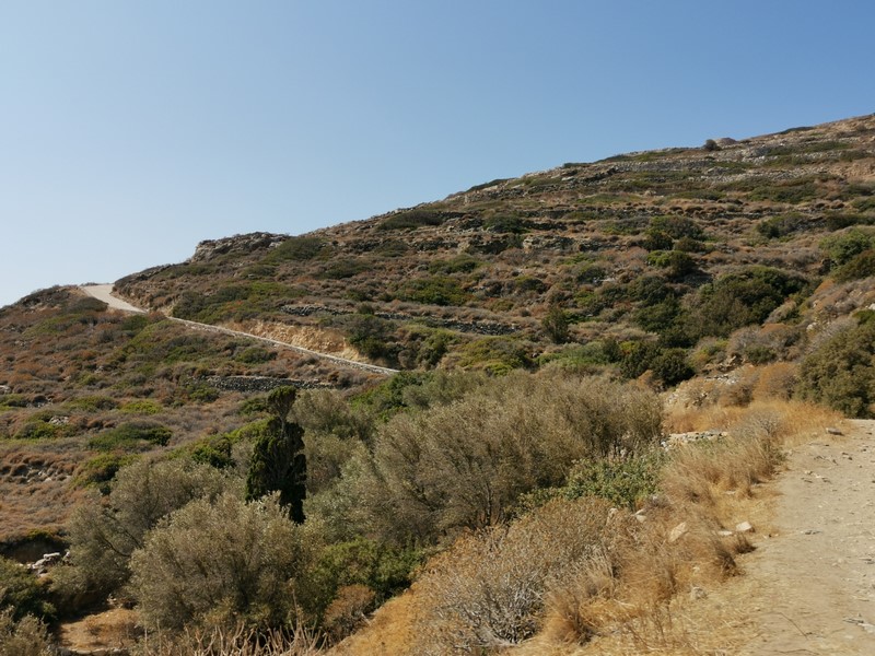 IMG_20210824_104906 (Kopiowanie).jpg