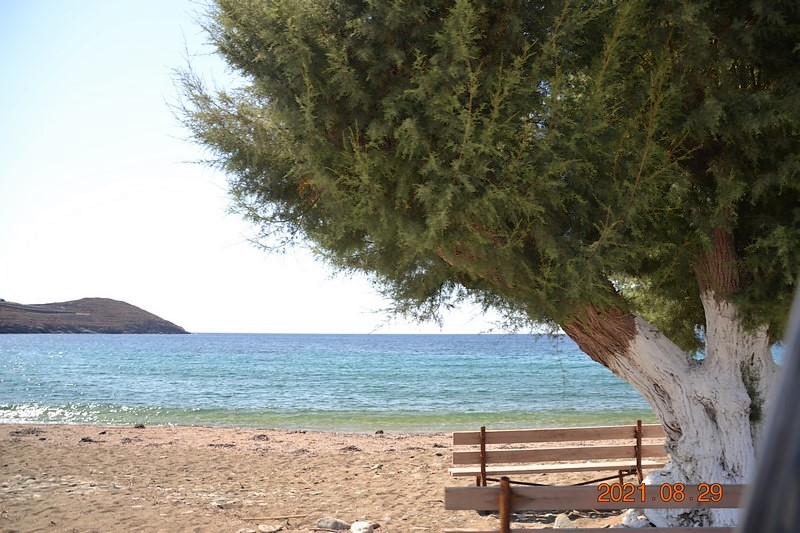 DSC_0040 (Kopiowanie).JPG