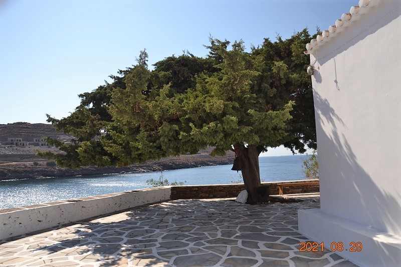 DSC_0065 (Kopiowanie).JPG