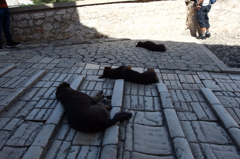 P9211055 (Kopiowanie).JPG