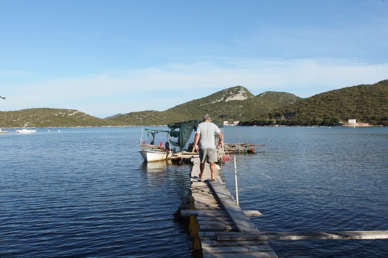 P9211105 (Kopiowanie).JPG