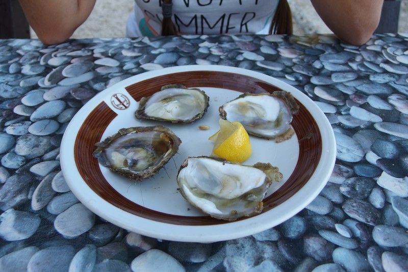 P9211103 (Kopiowanie).JPG