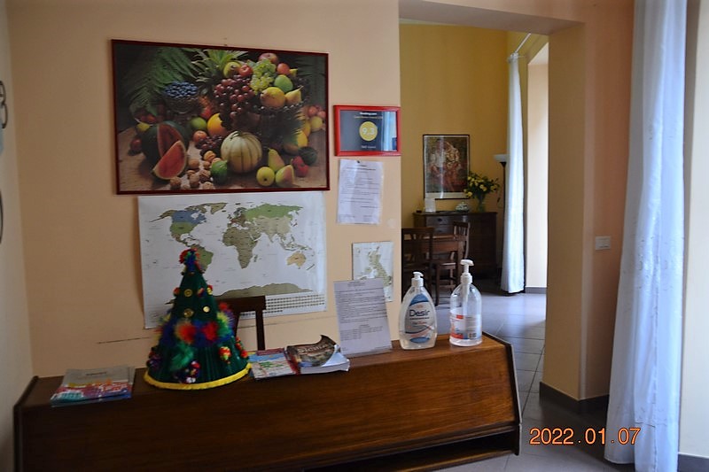 DSC_0386 (Kopiowanie).JPG