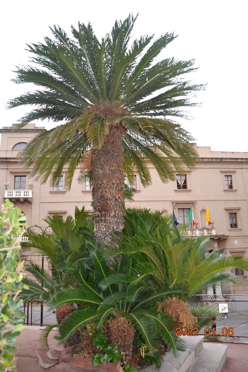 DSC_0138 (Kopiowanie).JPG