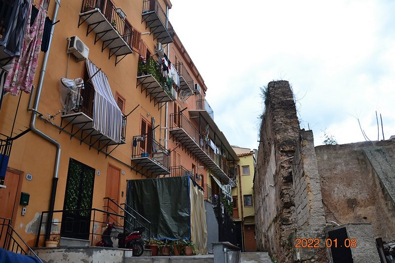 DSC_0113 (Kopiowanie).JPG