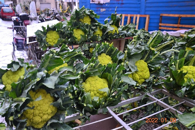 DSC_0003 (Kopiowanie).JPG