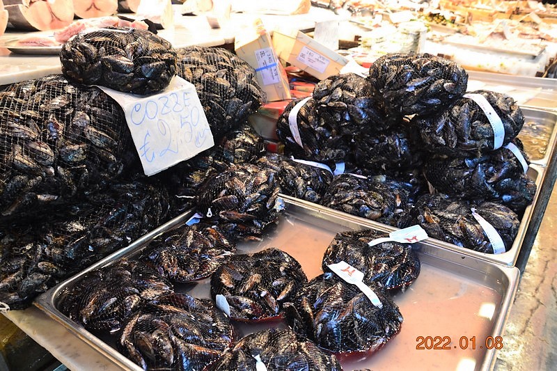 DSC_0049 (Kopiowanie).JPG