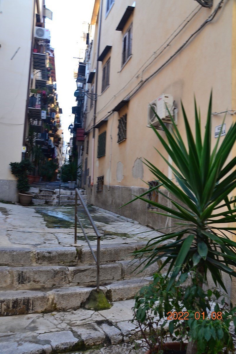 DSC_0284 (Kopiowanie).JPG