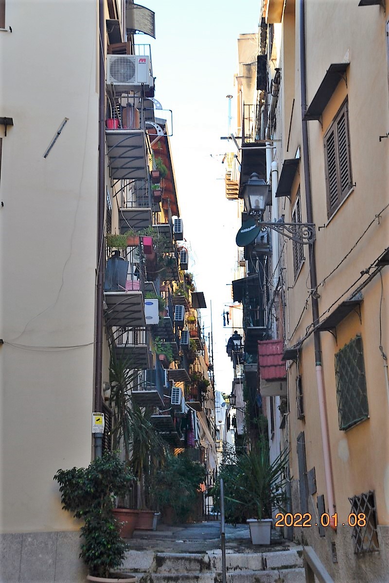 DSC_0285 (Kopiowanie).JPG