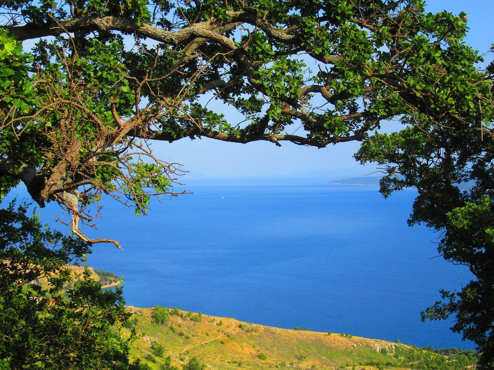 syata widok suoper.jpg