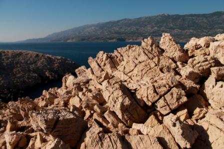 IMG_6892.JPG IMG_6892.JPG