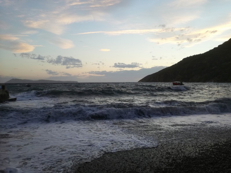 IMG_20200925_184906 (1).jpg