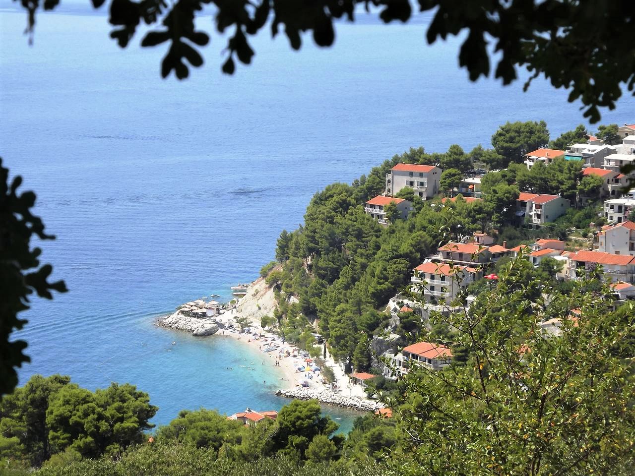 Obraz 232_Easy-Resize.com.jpg