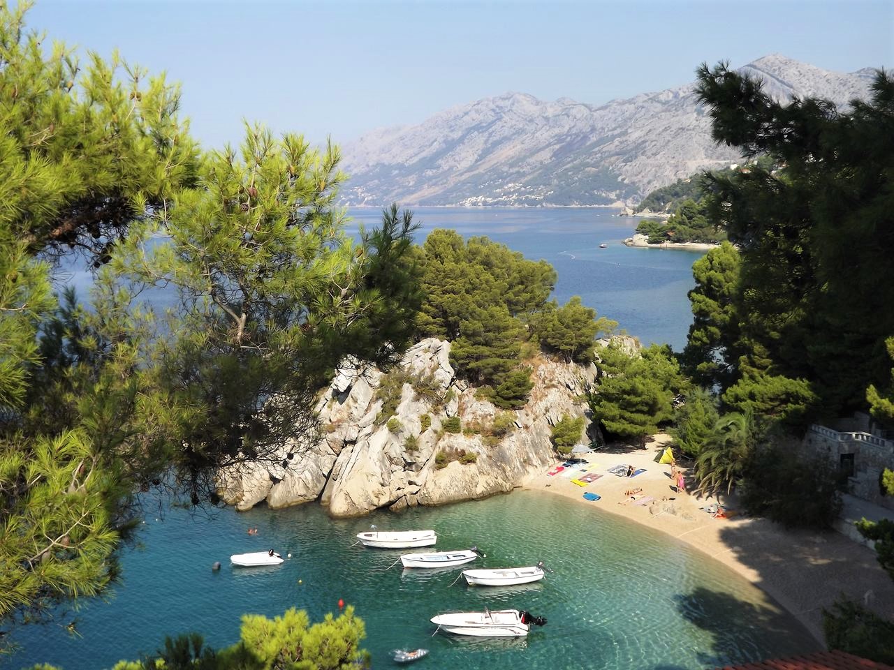 Obraz 445_Easy-Resize.com.jpg