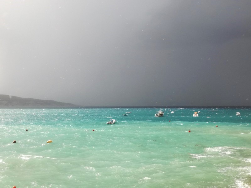 IMG_20200926_105145 (1).jpg