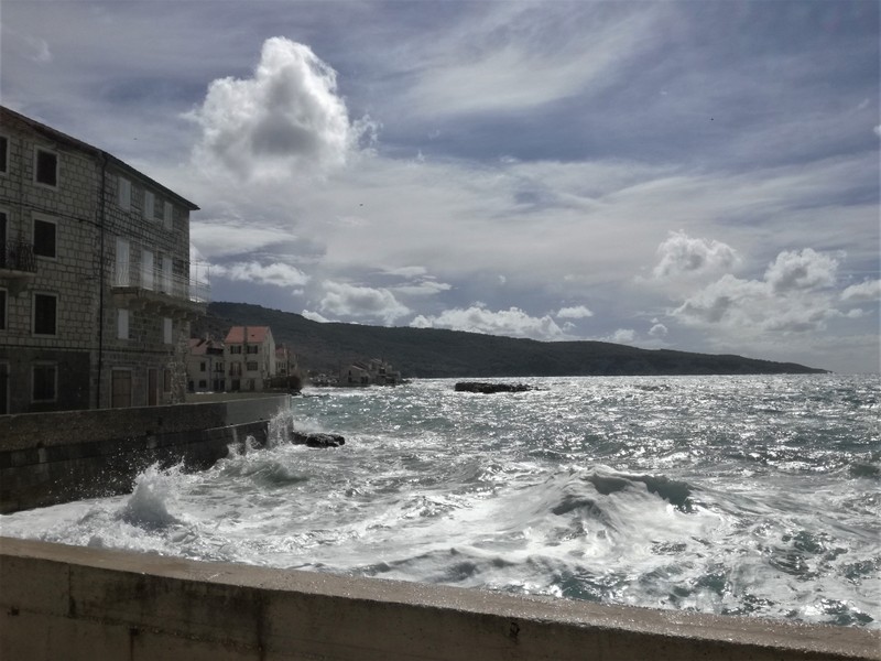 IMG_20200926_130356_1 (1).jpg