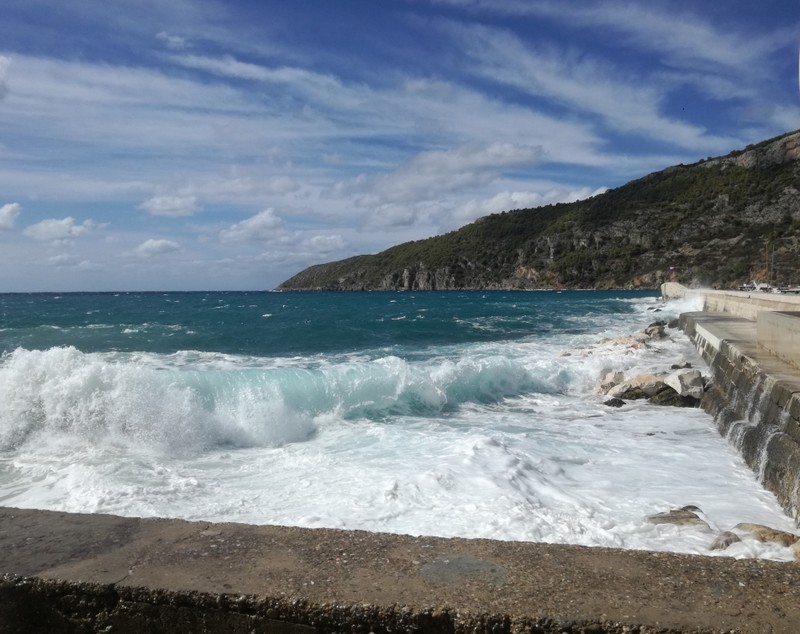 IMG_20200926_130436_1 (1).jpg