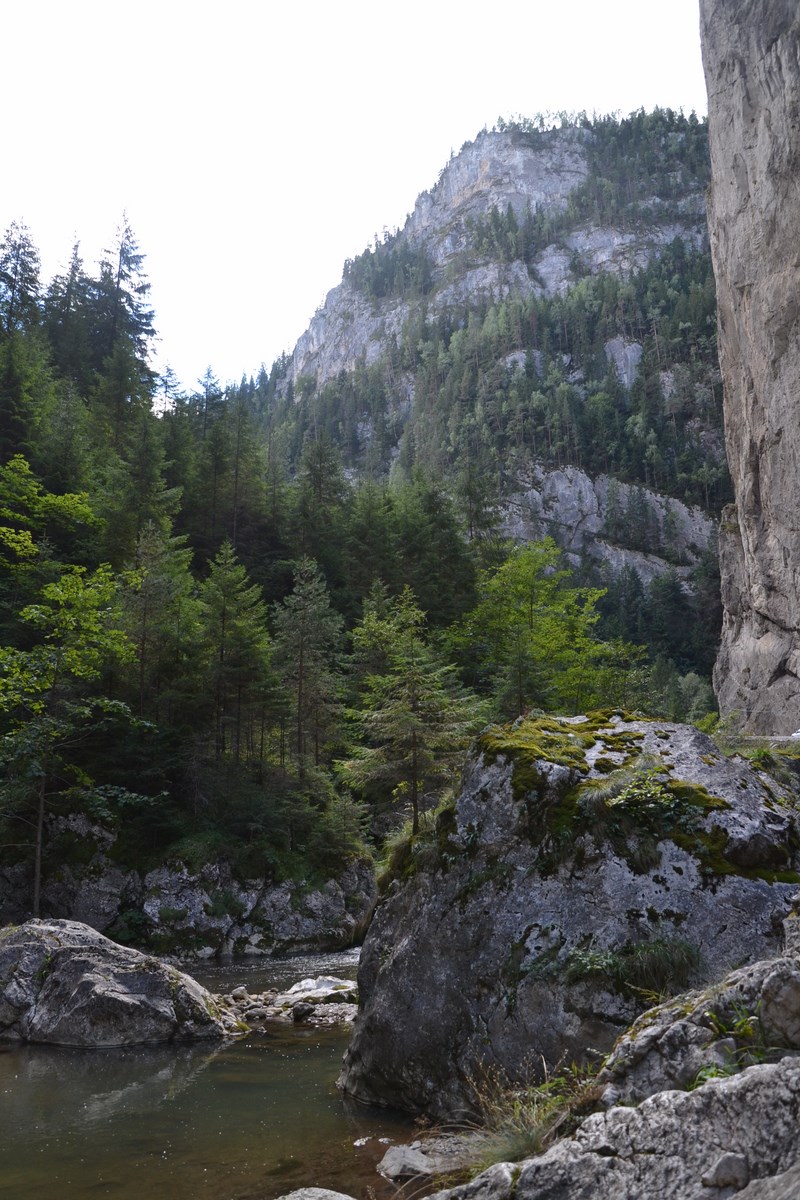 DSC_0698 (Kopiowanie).JPG