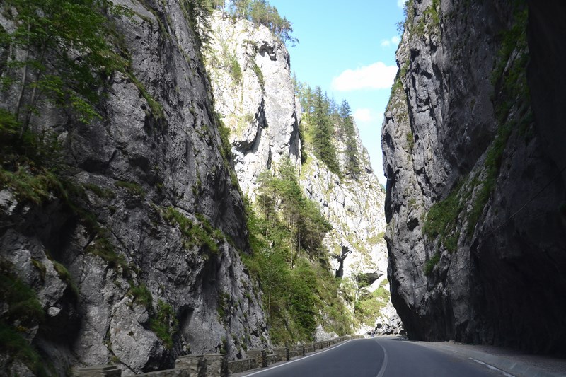 DSC_0734 (Kopiowanie).JPG