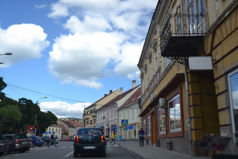 DSC_0787 (Kopiowanie).JPG