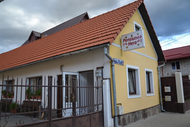 DSC_0922 (Kopiowanie).JPG