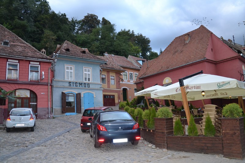 DSC_0950 (Kopiowanie).JPG