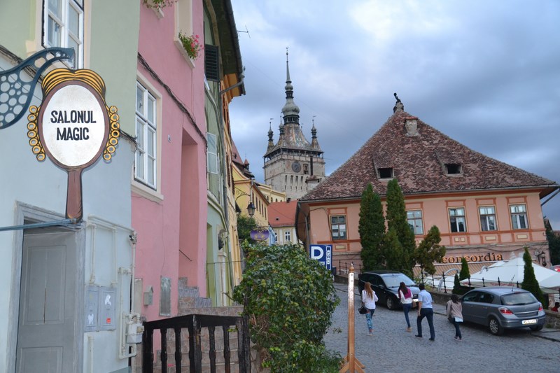 DSC_0954 (Kopiowanie).JPG