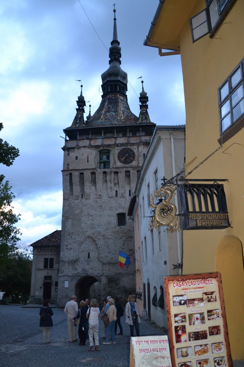 DSC_0983 (Kopiowanie).JPG