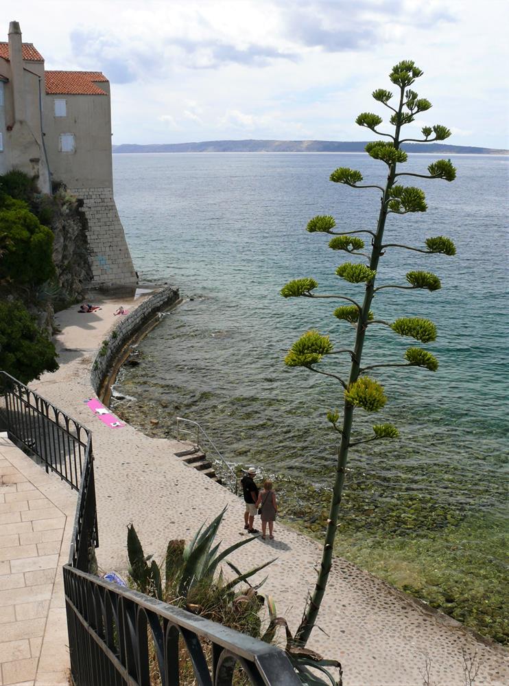 aaaP1270765 (Copy).jpg