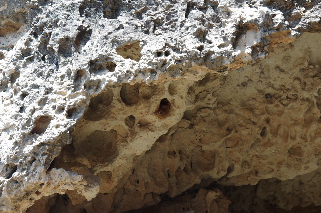 Lefkos / IMGP3171_resize.JPG IMGP3171_resize.JPG