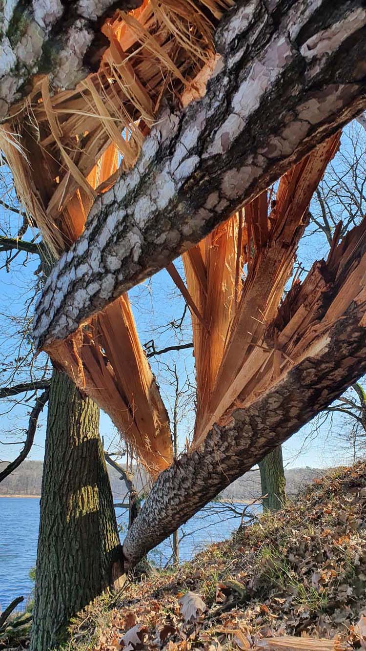 20220320_123813 mały.jpg