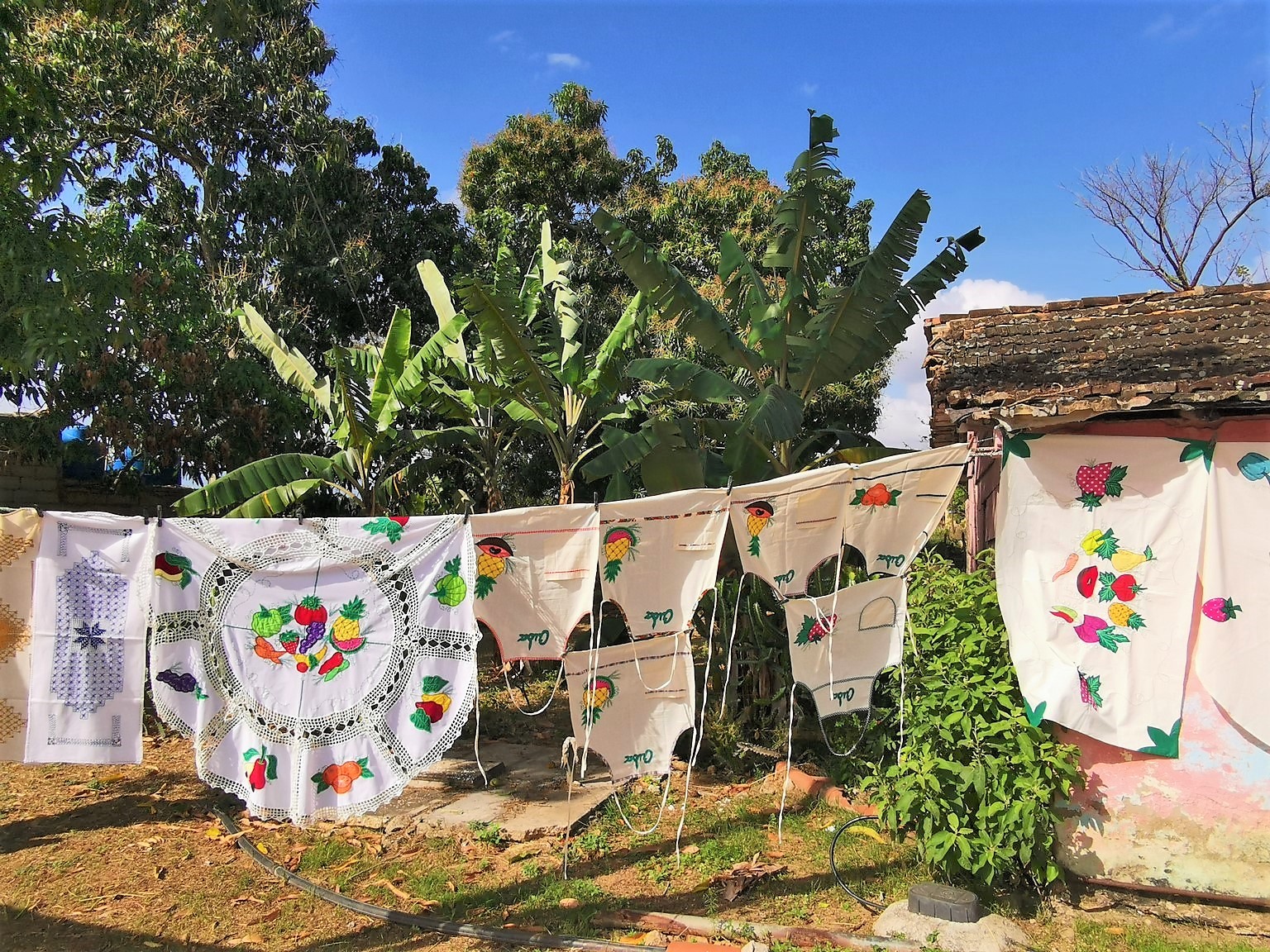 IMG_20220308_094208 (Kopiowanie).jpg