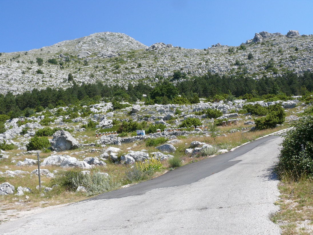 Wakacje 2015 Chorwacja 028.JPG