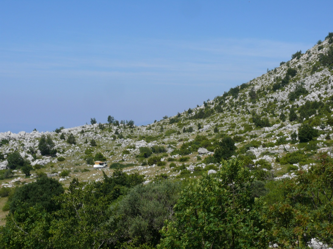 z daleka widać punkt handlowy dziadka / Wakacje 2015 Chorwacja 030.JPG Wakacje 2015 Chorwacja 030.JPG