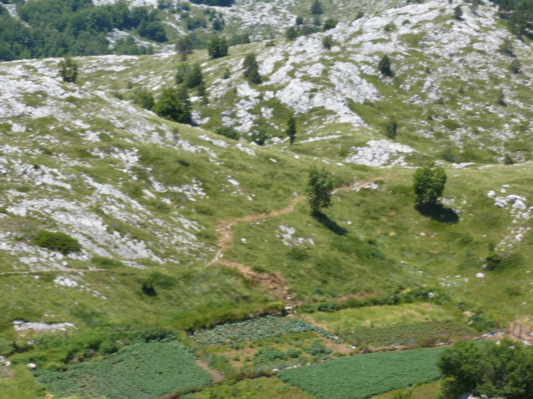 małe pola uprawne / Wakacje 2015 Chorwacja 158.JPG Wakacje 2015 Chorwacja 158.JPG